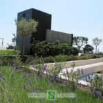 A green roof terrace