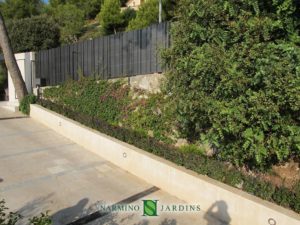 Narmino Jardins, gardens and green spaces creation and maintenance