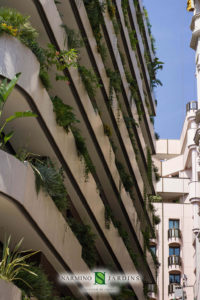 Façade et jardinières en Principauté de Monaco immeuble la Petite Afrique