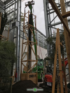 Installation of new greenhouses in the Exotic Garden