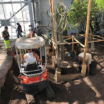 Installation of new greenhouses in the Exotic Garden