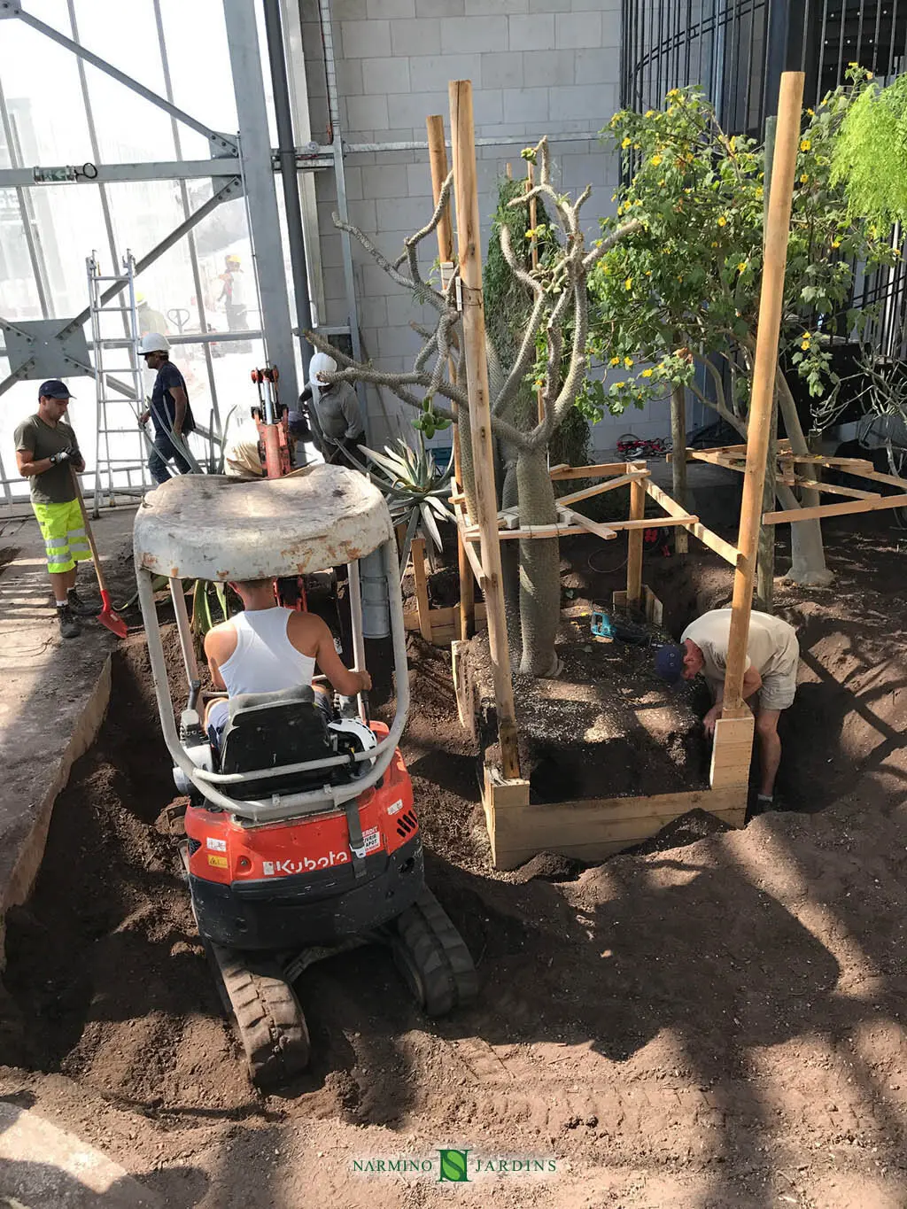 Aménagement des nouvelles serres du Jardin Exotique