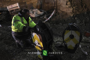 Photo of the displacement of an olive tree over 20 tonnes. A performance of the landscape and garden maintenance company Narmino Jardins.