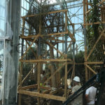 Installation of new greenhouses in the Exotic Garden