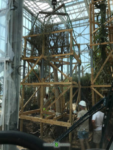 Installation of new greenhouses in the Exotic Garden