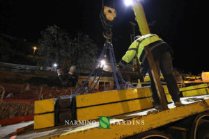 Photo of the displacement of an olive tree over 20 tonnes. A performance of the landscape and garden maintenance company Narmino Jardins.