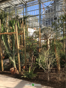 Installation of new greenhouses in the Exotic Garden