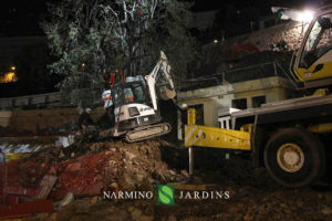 Photo du déplacement d'un olivier de plus de 20 tonnes. Une performance de l'entreprise paysagère et d'entretien d'espaces verts Narmino Jardins.