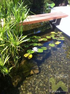 Creation of a pool for Koi Carp