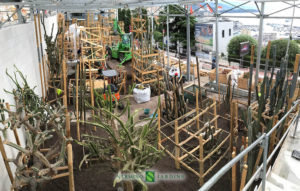 Installation of new greenhouses in the Exotic Garden