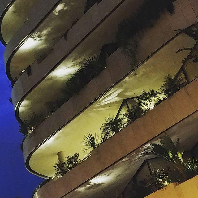 Planters and plants at night in Monaco