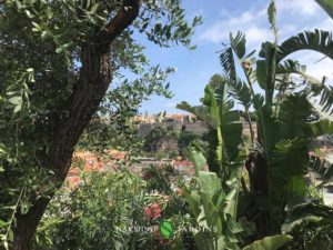 Behind the plants and shrubs, a view of the Principality