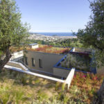 Particularly successful green roofs