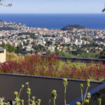 Well realized green roofs