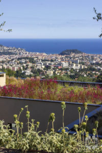 Well realized green roofs