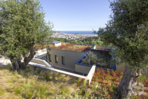 Particularly successful green roofs