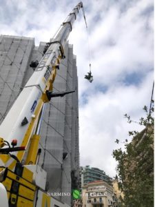 Lifting large quantities of plants for a construction site in Monaco