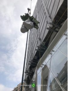 Lifting large quantities of plants for a construction site in Monaco