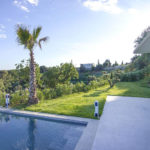 The pool and surrounding vegetation