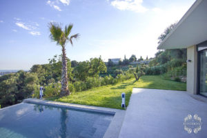 The pool and surrounding vegetation