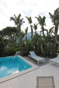 Des palmiers majestueux entourent la piscine