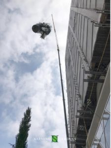 Grutage de plantes vers des jardinières dans un chantier