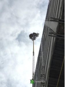 Grutage de plantes vers des jardinières dans un chantier