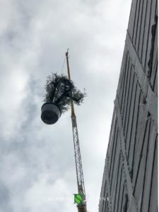 Plants take off during a crane in Monaco