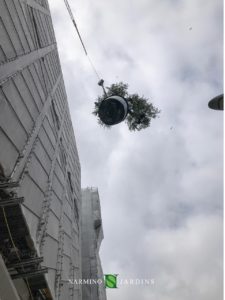 Plants take off during a crane in Monaco
