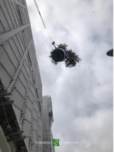 Plants take off during a crane in Monaco