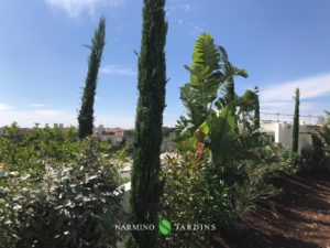 Un grand merci à nos jardiniers pour ce beau travail paysager