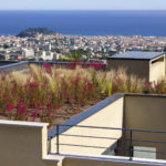 Une vue sur la Baie des Anges