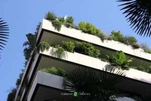 The sumptuous flower boxes of the building La Petite Afrique in Monaco