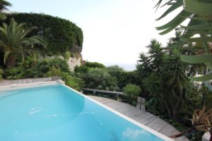 Une piscine entourée de ses espaces verts foisonnants