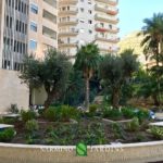 Déplacement et plantation d'oliviers à Monaco