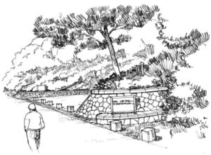 sketch of a landscaping project