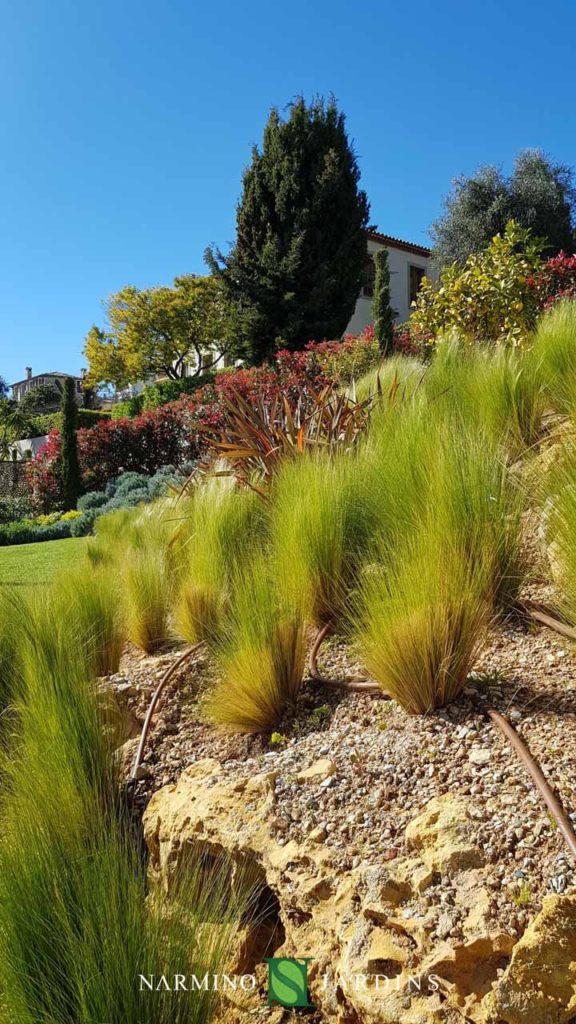 narmino Jardins possède un pole d'architecture paysagère pour tous vos projets de création de jardins