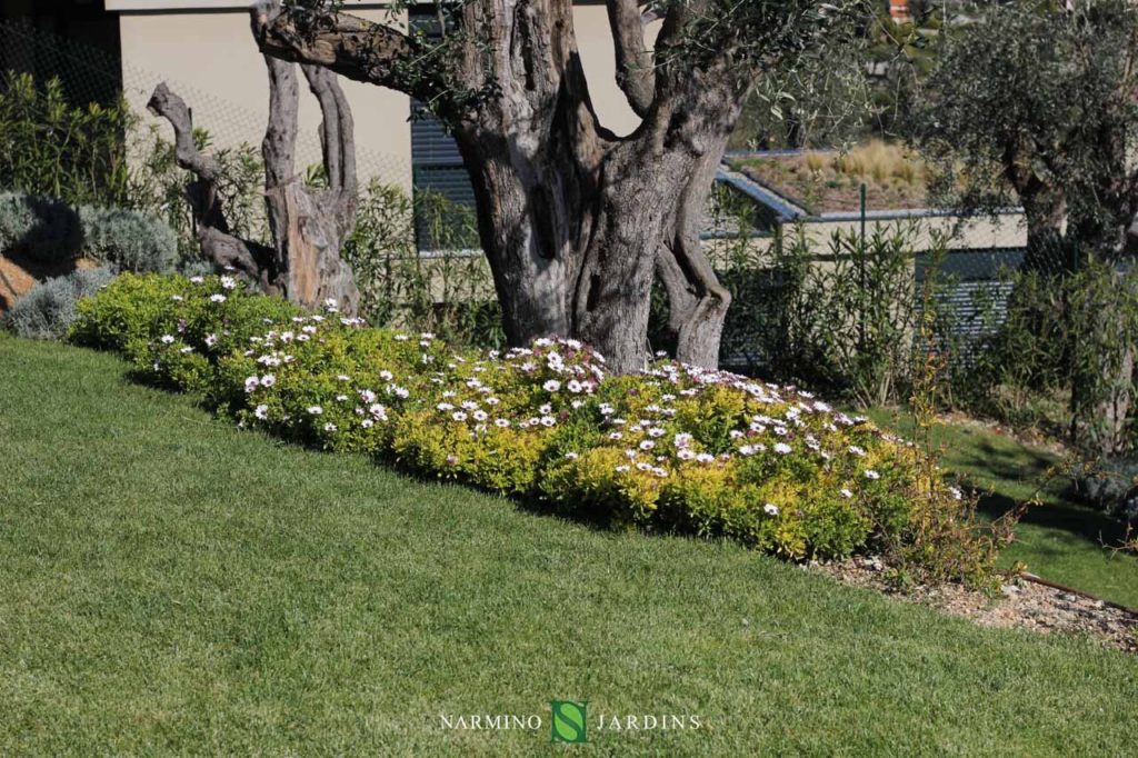 Flowers and gardening