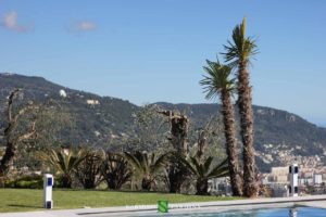 Palm tree in front of the mountains of Nice