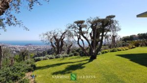 Une belle pelouse créée et suivie par des jardiniers professionnels