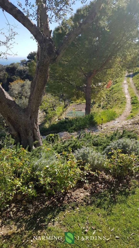 The flowery valley bordering the villas