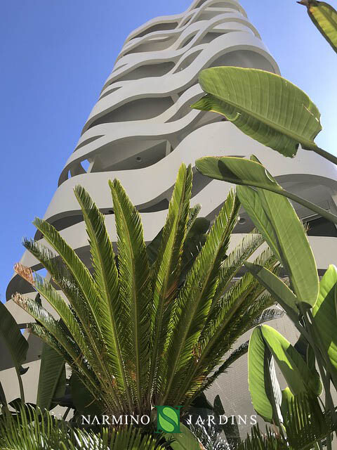 Beautiful plants shine in the sun in the green spaces of this building