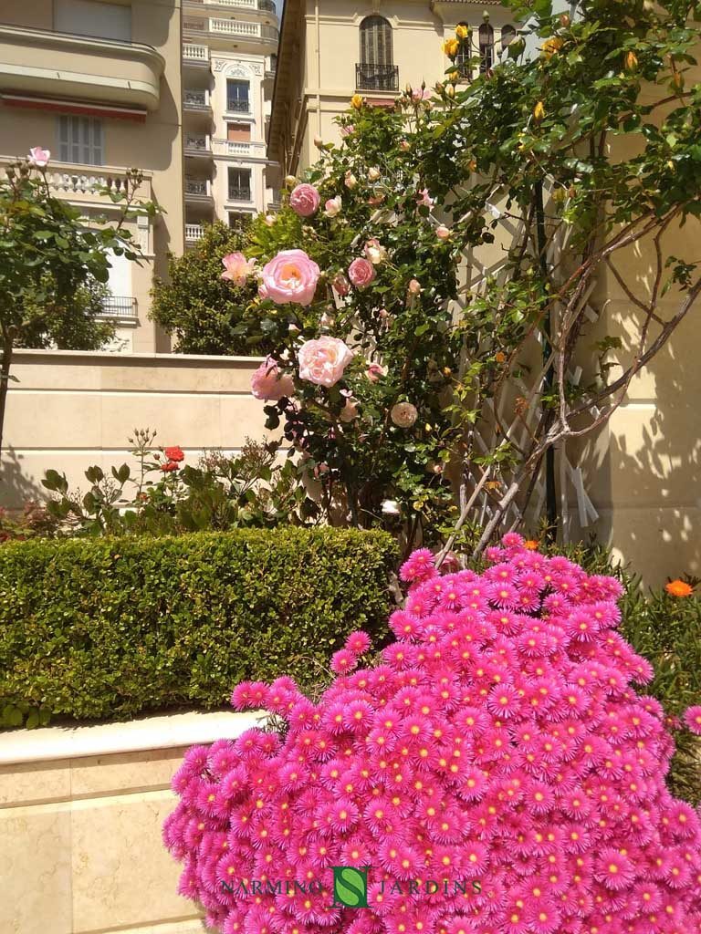 Des fleurs roses embellissent cette jardinière