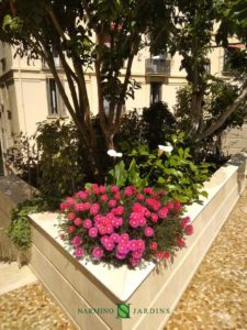 Pink flowers embellish this planter