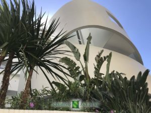 Architecture, plants and palm trees