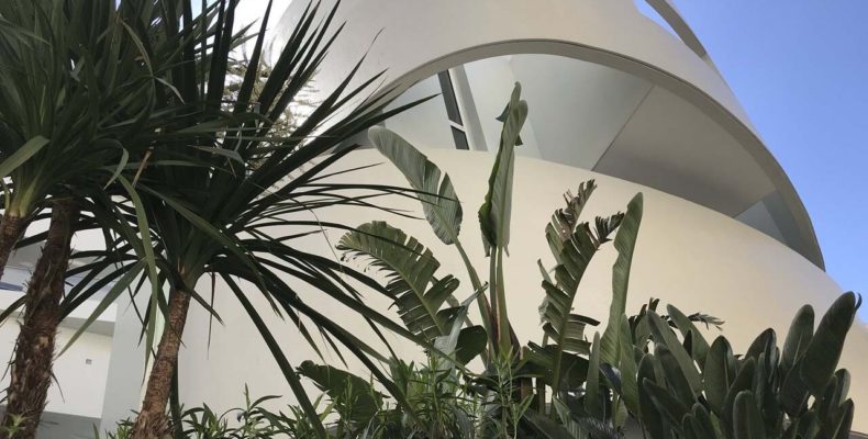 Architecture, plants and palm trees
