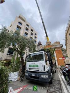 Garden landscaping work by Narmino