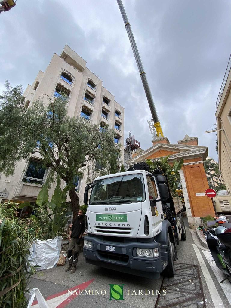 Des travaux d'aménagement de jardin par Narmino