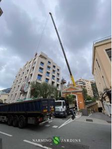 Soil and plants for a roof terrace with crane