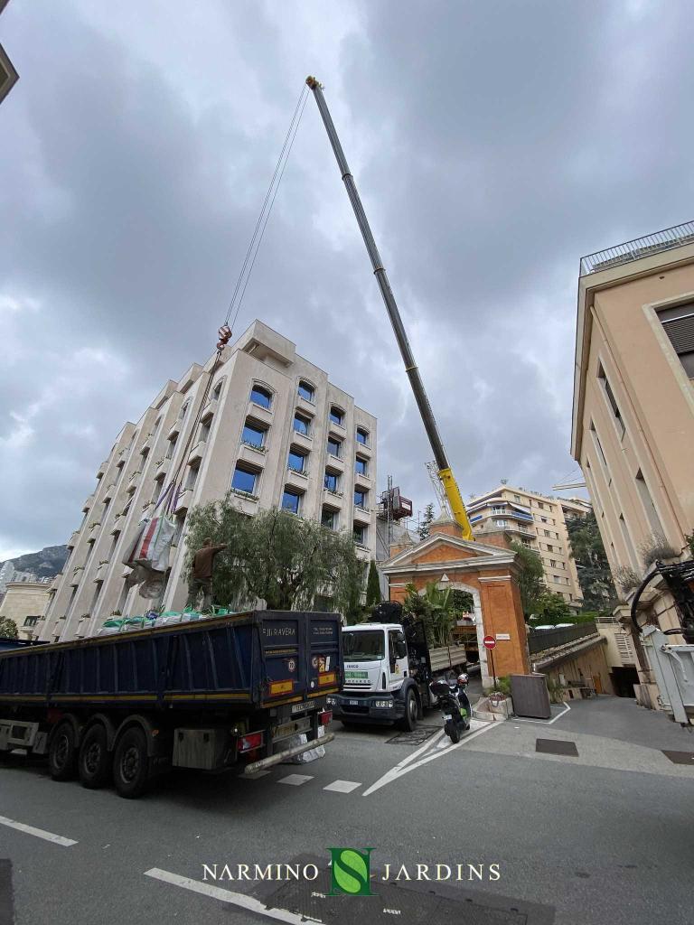 Soil and plants for a roof terrace with crane